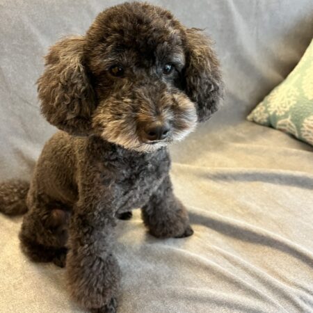 身構えちゃダメ。こころをひらいてね。